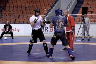 运动冠军技压群雄注目竞技  第2张 运动冠军技压群雄注目竞技  第2张